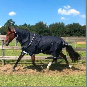 Amigo Bravo 12 Plus Turnout Sheet Size 75